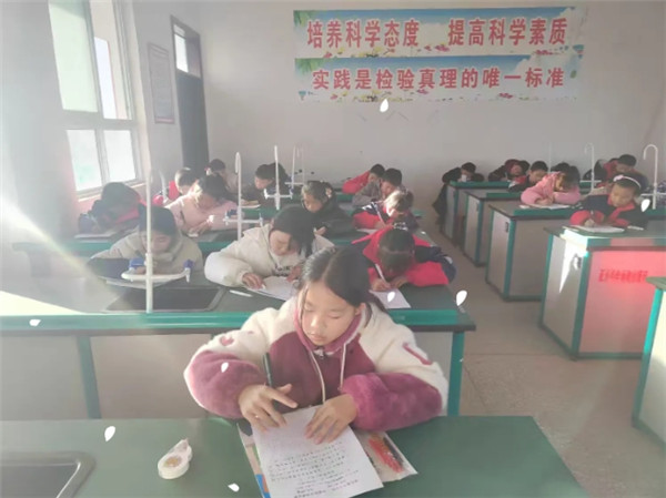 墨香流韵绘心景,才情横溢谱华章——寒冻镇中心小学作文竞赛活动