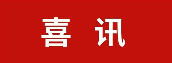 喜讯:正阳县雷寨镇西严店中心学校刘艳霞小学语文工作室