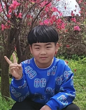 贴鼻子游戏