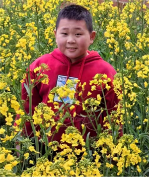 油菜花