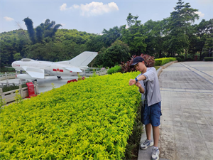 一朵白云的经历