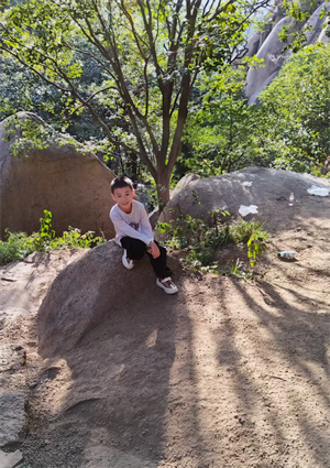 小马学蝉