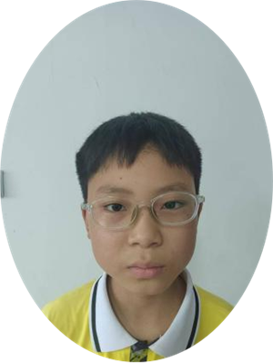 与书为友