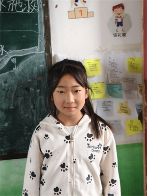 我的动物朋友