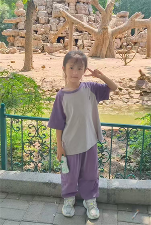 捡落叶