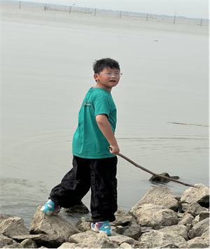 二十年后的家乡