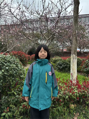植树节