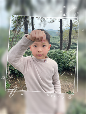 游信阳文新茶村