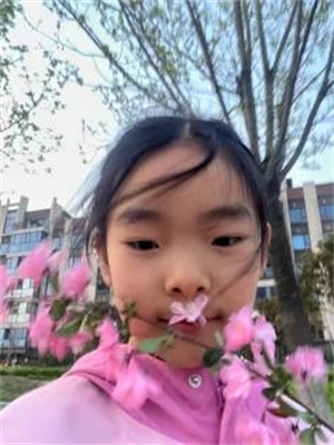 放风筝