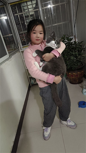 詹