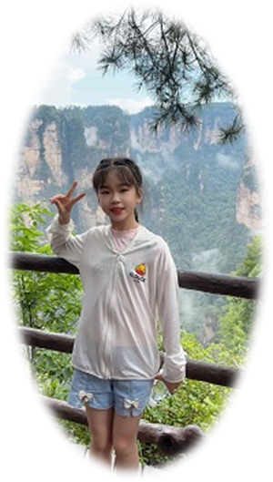 贾
