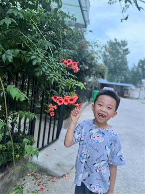 马