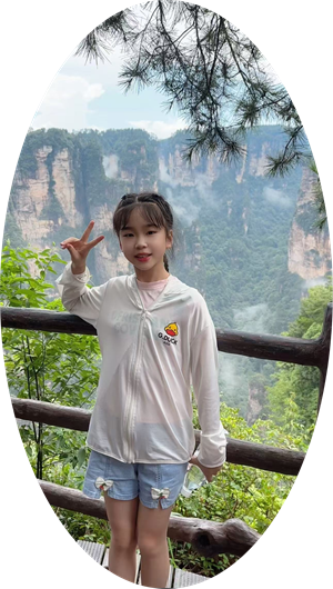 贾