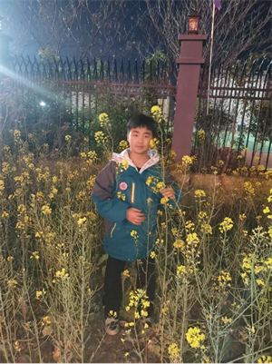 图片29