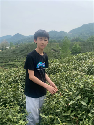 图片1