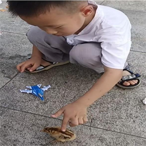 邹尚恒图片1