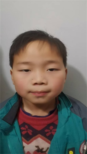 图片1