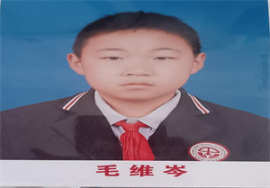 图片1