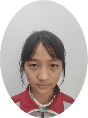 图片1