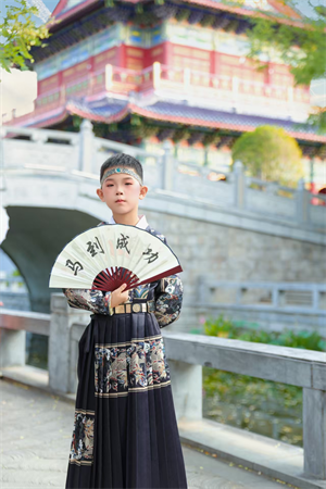 图片1