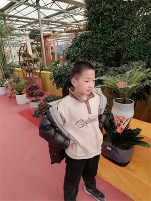 图片1