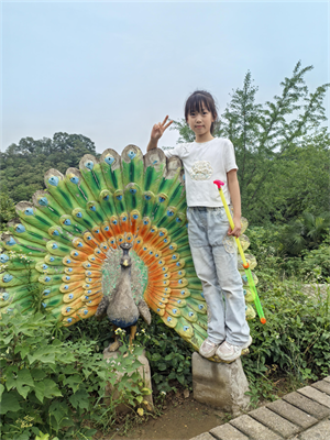 图片1