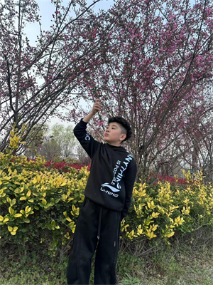 图片1