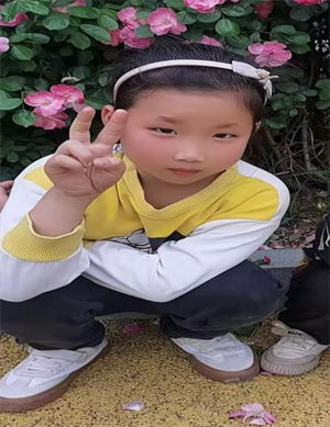 图片1