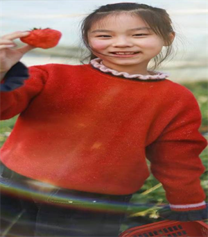 图片1