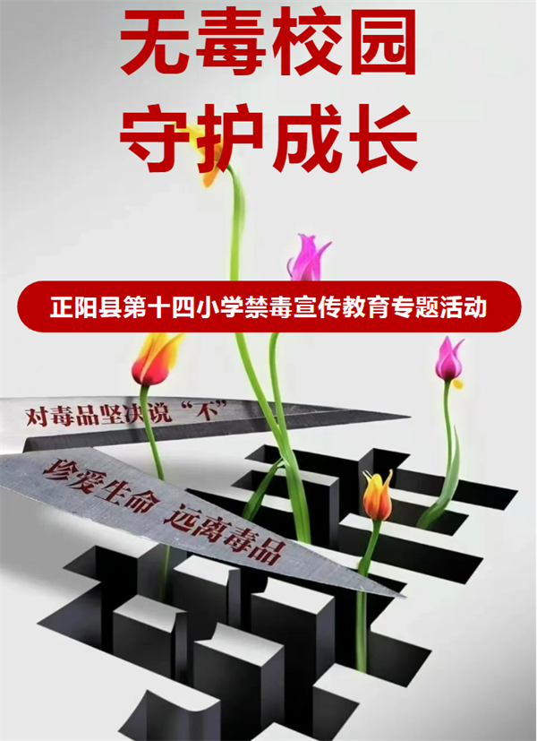 1图